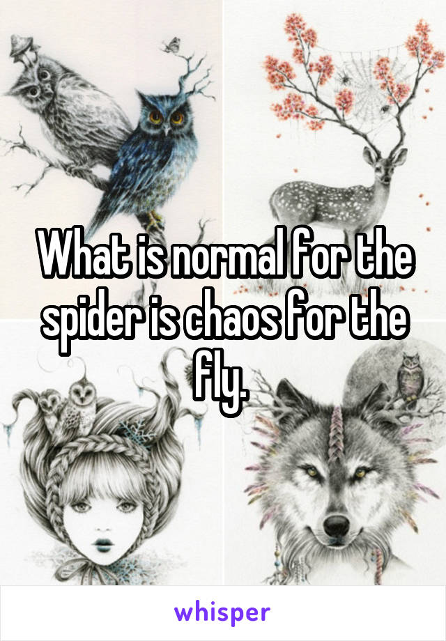 What is normal for the spider is chaos for the fly. 