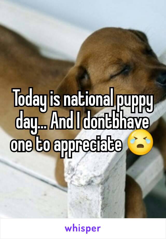 Today is national puppy day... And I dontbhave one to appreciate 😭