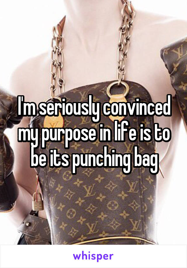 I'm seriously convinced my purpose in life is to be its punching bag