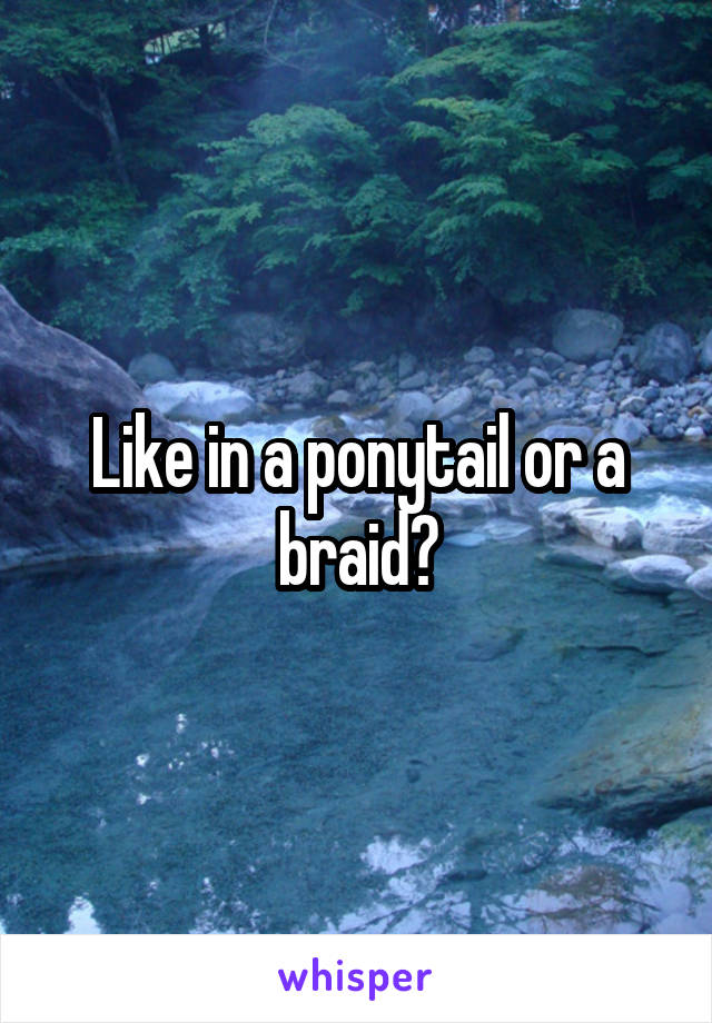 Like in a ponytail or a braid?