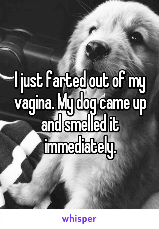 I just farted out of my vagina. My dog came up and smelled it immediately.