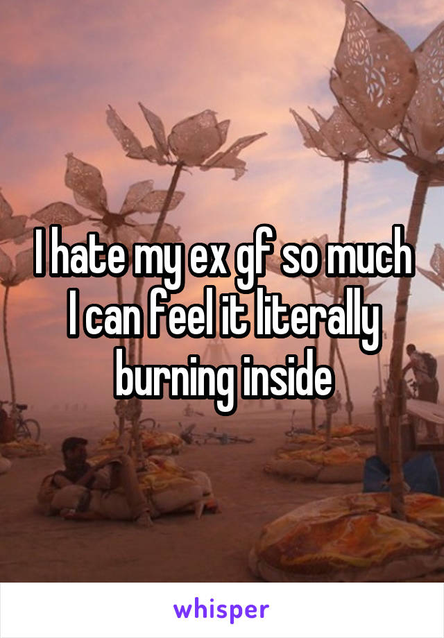 I hate my ex gf so much I can feel it literally burning inside