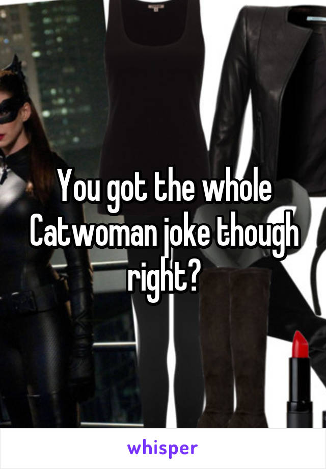 You got the whole Catwoman joke though right?