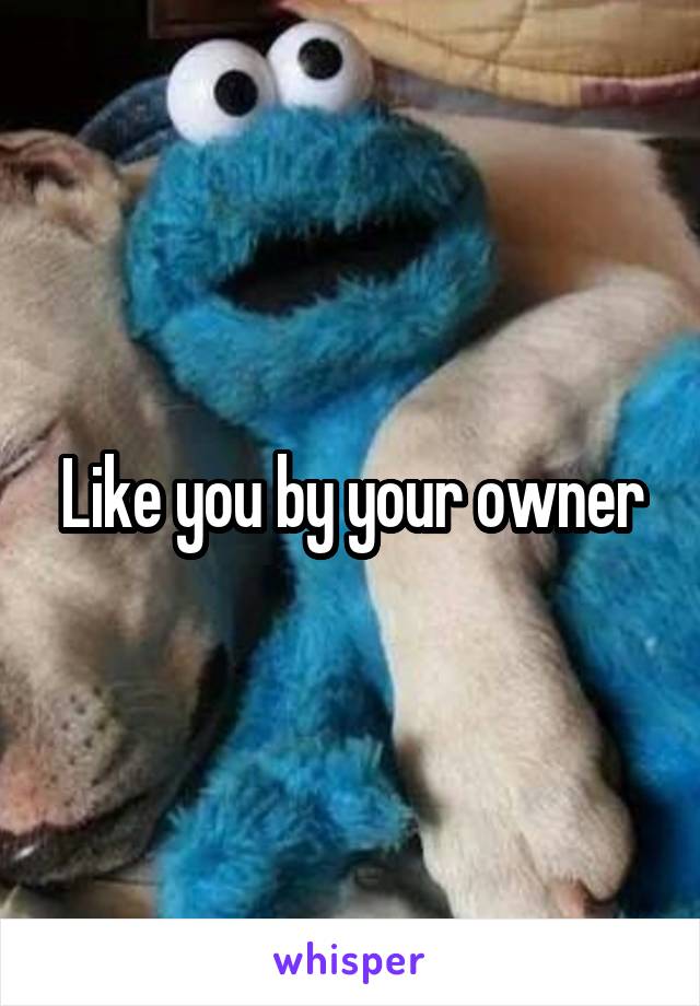 Like you by your owner