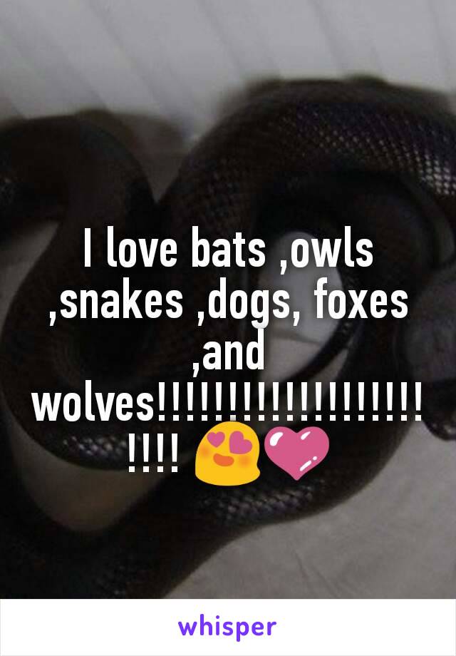 I love bats ,owls ,snakes ,dogs, foxes ,and wolves!!!!!!!!!!!!!!!!!!!!!!! 😍💜