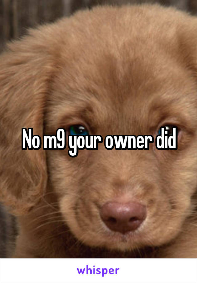 No m9 your owner did