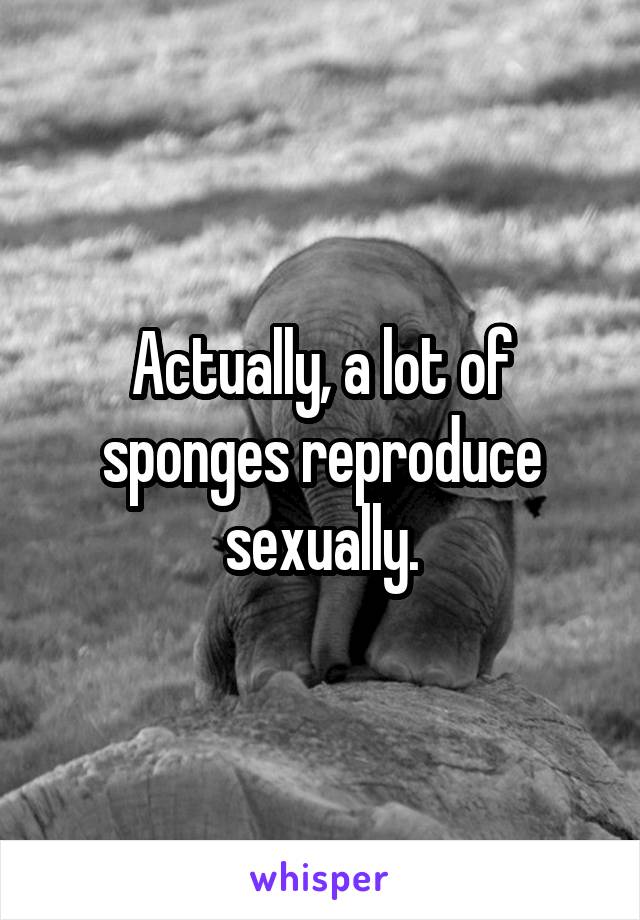 Actually, a lot of sponges reproduce sexually.