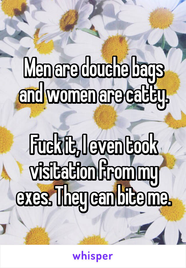 Men are douche bags and women are catty.

Fuck it, I even took visitation from my exes. They can bite me.