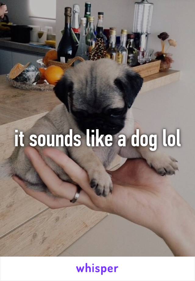 it sounds like a dog lol