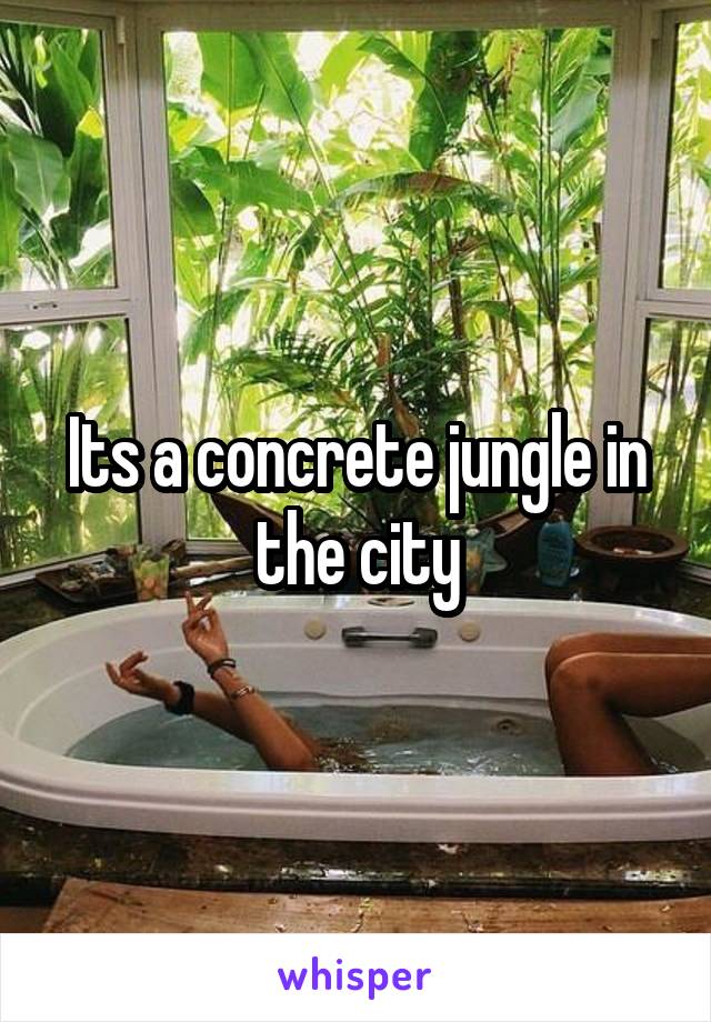 Its a concrete jungle in the city