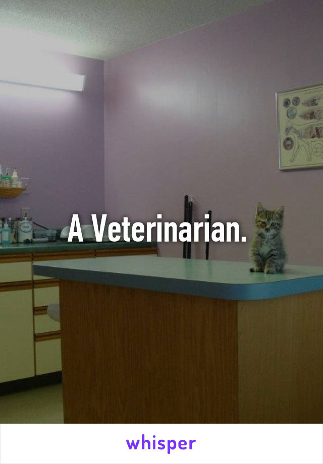 A Veterinarian. 