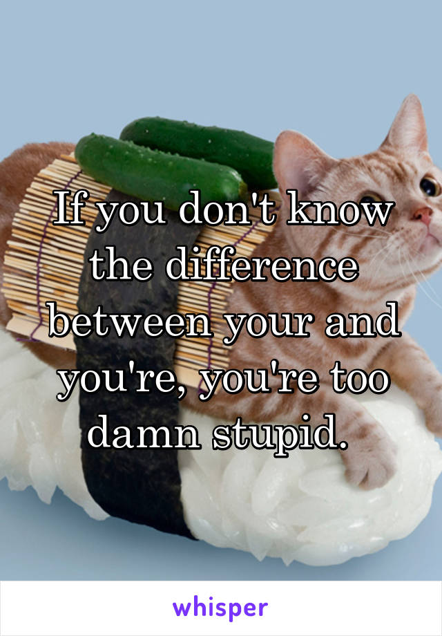 If you don't know the difference between your and you're, you're too damn stupid. 