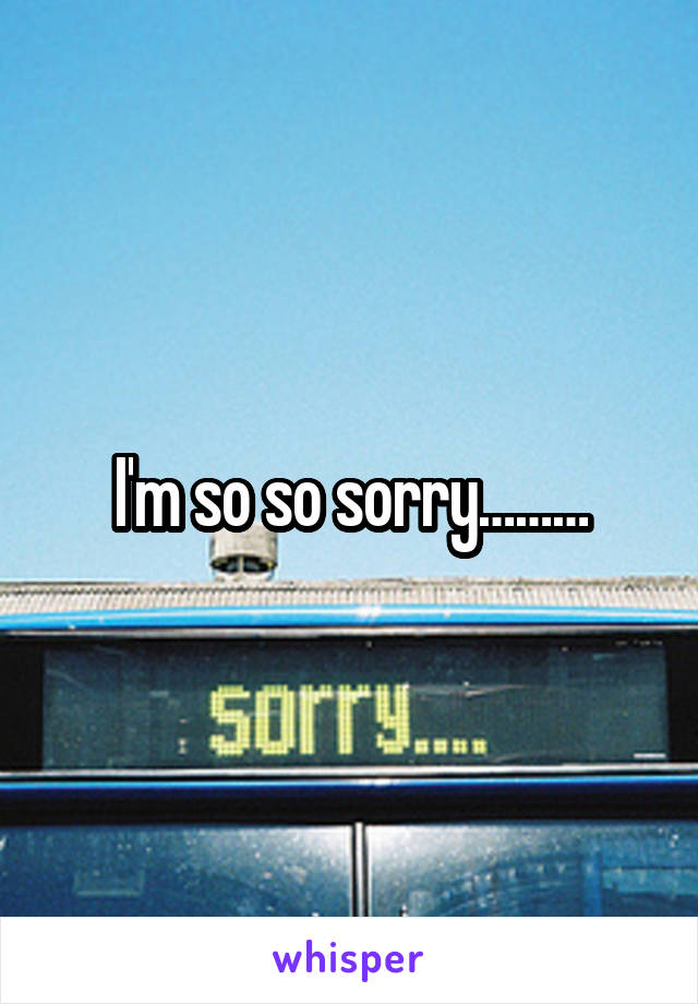 I'm so so sorry………