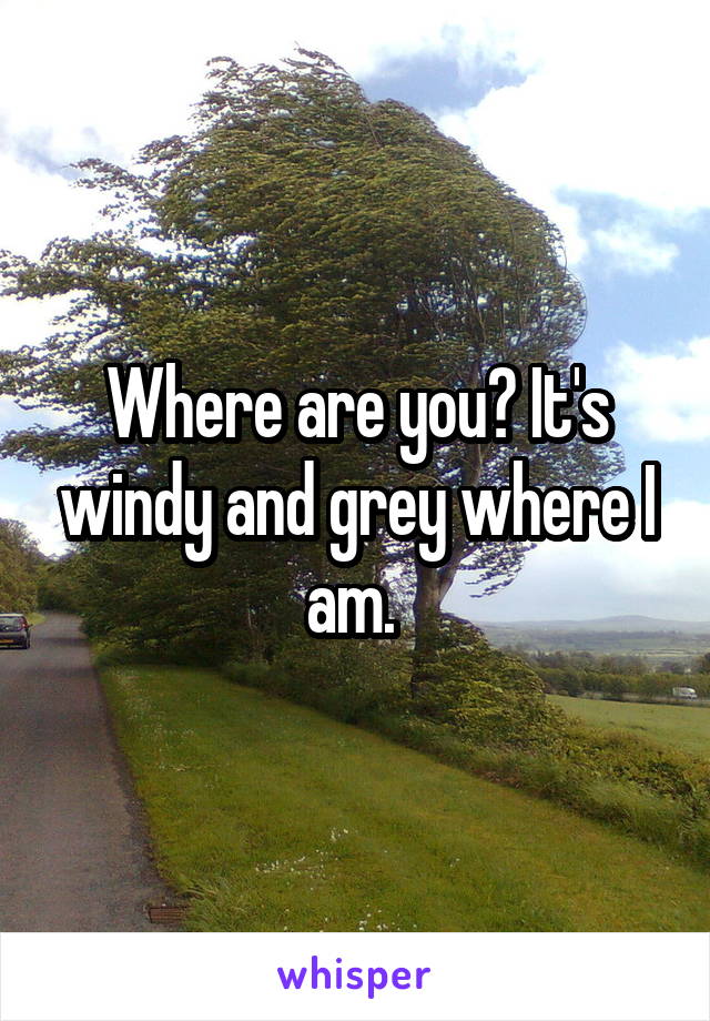 Where are you? It's windy and grey where I am. 