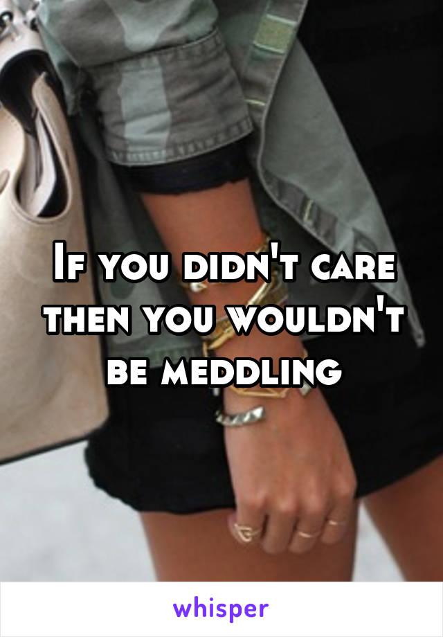 If you didn't care then you wouldn't be meddling