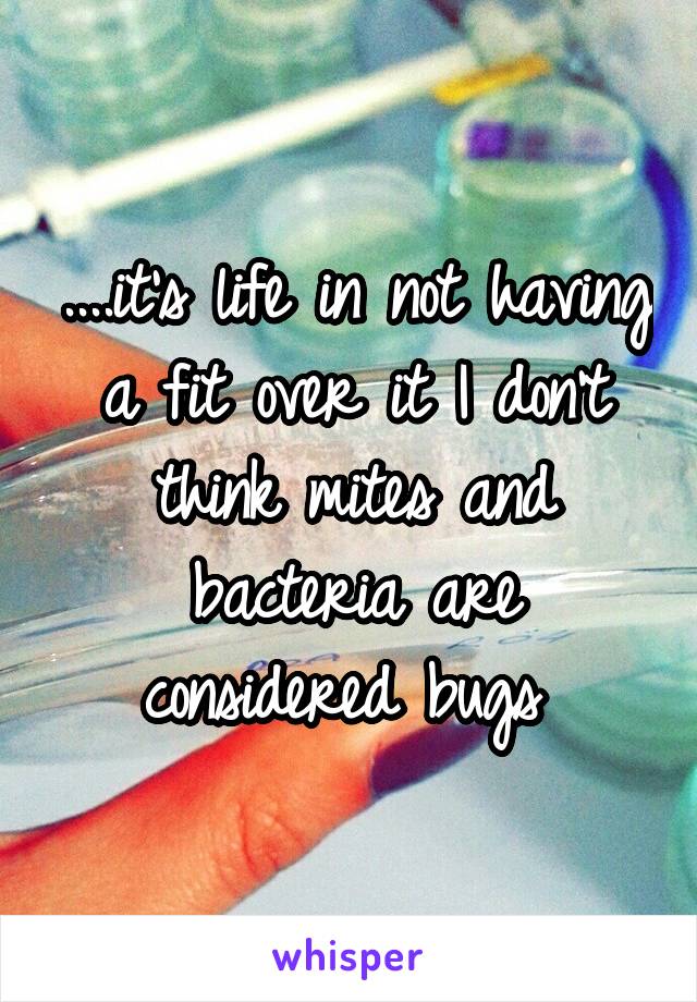 ....it's life in not having a fit over it I don't think mites and bacteria are considered bugs 