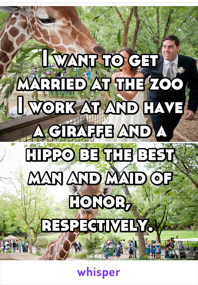 I want to get married at the zoo I work at and have a giraffe and a hippo be the best man and maid of honor, respectively. 