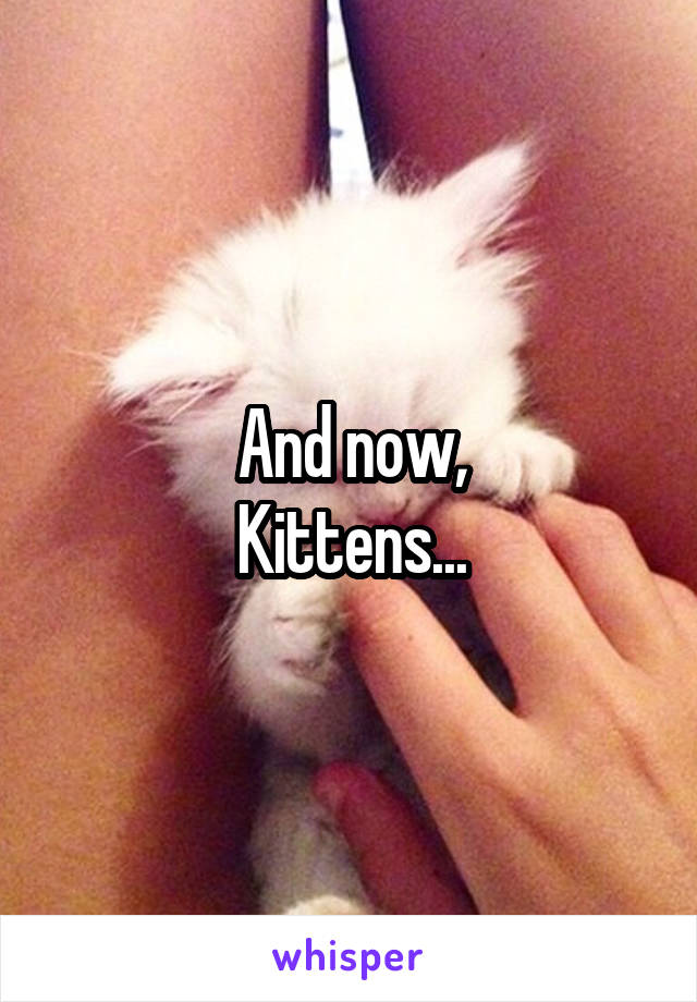 And now,
Kittens...