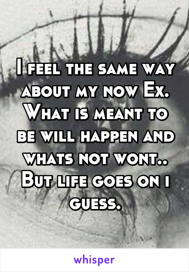 I feel the same way about my now Ex. What is meant to be will happen and whats not wont.. But life goes on i guess.