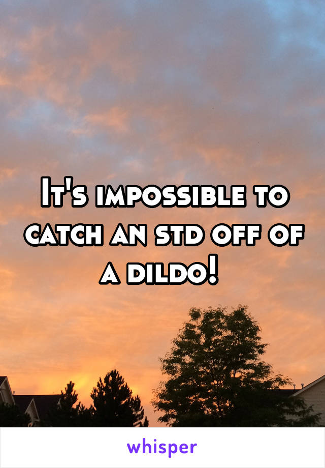 It's impossible to catch an std off of a dildo! 