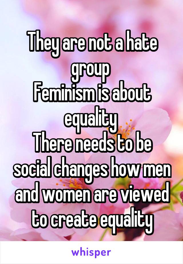 They are not a hate group 
Feminism is about equality 
There needs to be social changes how men and women are viewed to create equality