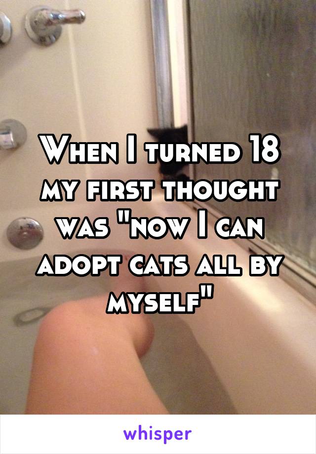 When I turned 18 my first thought was "now I can adopt cats all by myself"
