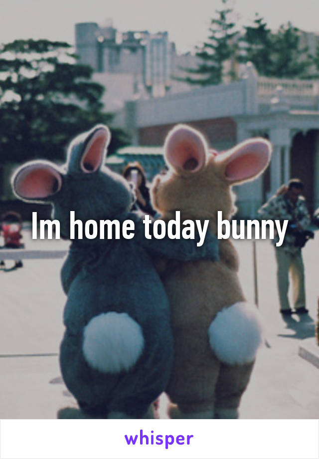 Im home today bunny