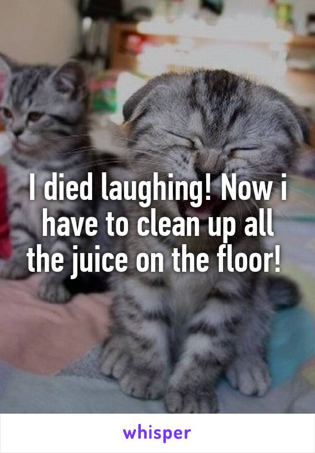 I died laughing! Now i have to clean up all the juice on the floor! 