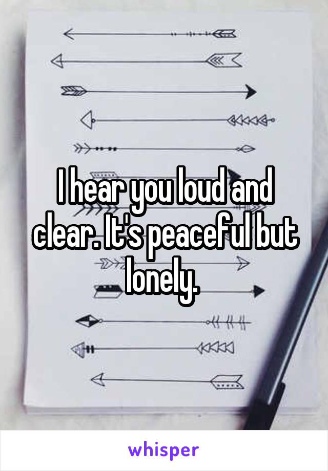 I hear you loud and clear. It's peaceful but lonely. 