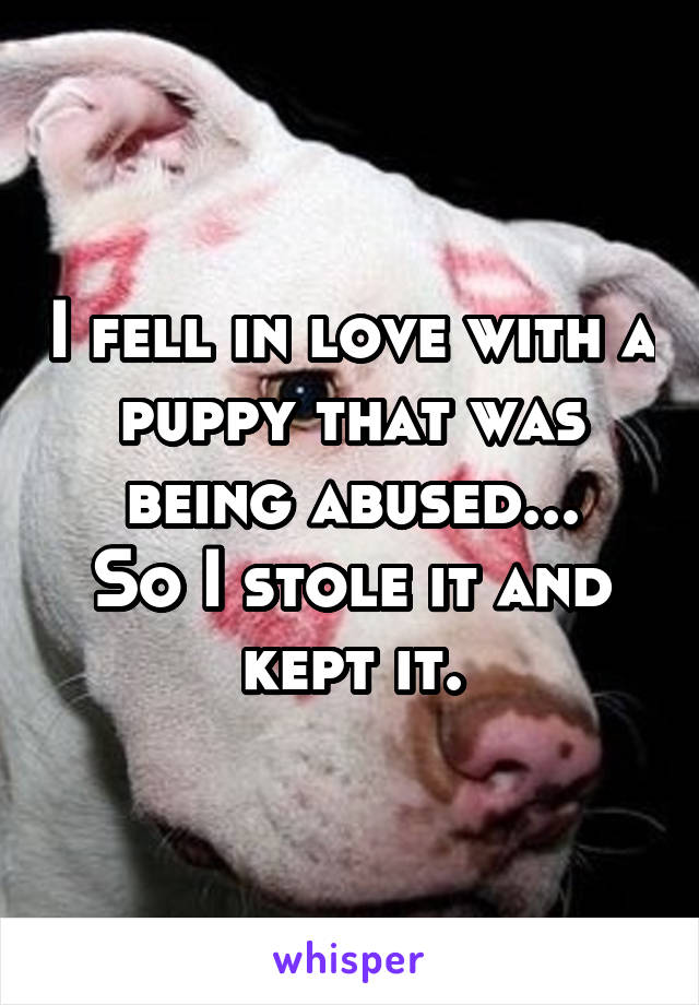 I fell in love with a puppy that was being abused...
So I stole it and kept it.