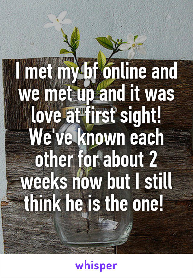 I met my bf online and we met up and it was love at first sight!
We've known each other for about 2 weeks now but I still think he is the one! 