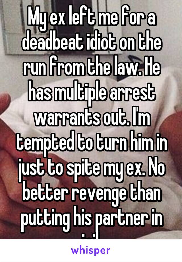 My ex left me for a deadbeat idiot on the run from the law. He has multiple arrest warrants out. I'm tempted to turn him in just to spite my ex. No better revenge than putting his partner in jail.