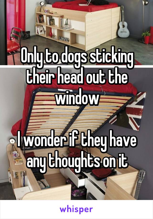 Only to dogs sticking their head out the window

I wonder if they have any thoughts on it