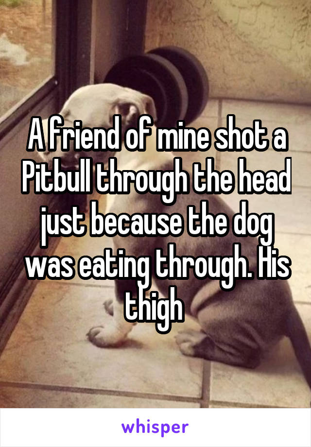 A friend of mine shot a Pitbull through the head just because the dog was eating through. His thigh 