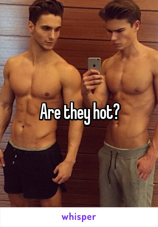 Are they hot?