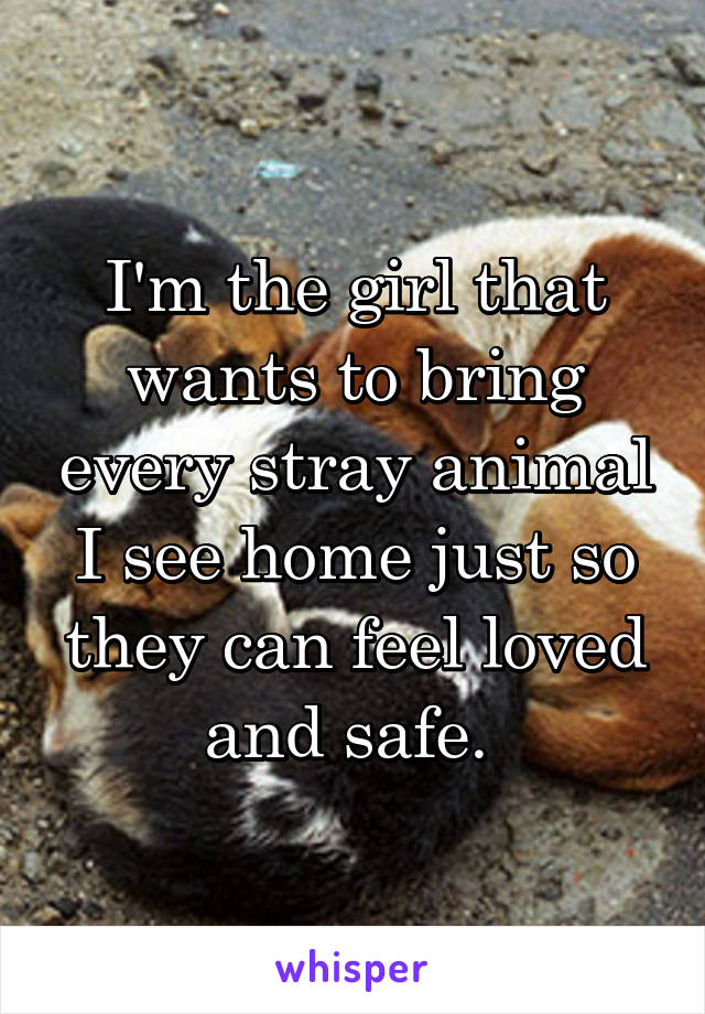 I'm the girl that wants to bring every stray animal I see home just so they can feel loved and safe. 