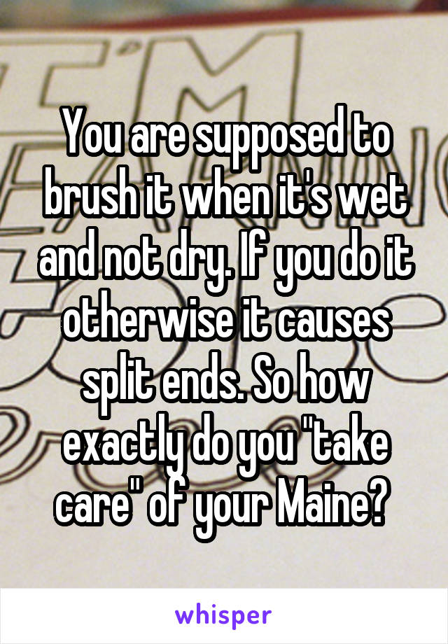 You are supposed to brush it when it's wet and not dry. If you do it otherwise it causes split ends. So how exactly do you "take care" of your Maine? 