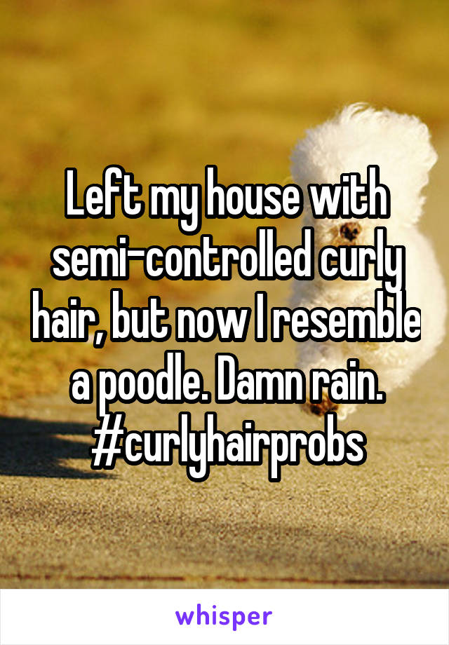 Left my house with semi-controlled curly hair, but now I resemble a poodle. Damn rain.
#curlyhairprobs