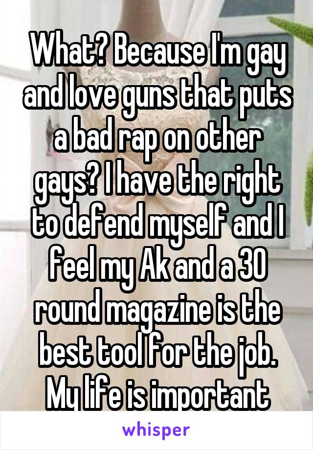 What? Because I'm gay and love guns that puts a bad rap on other gays? I have the right to defend myself and I feel my Ak and a 30 round magazine is the best tool for the job. My life is important