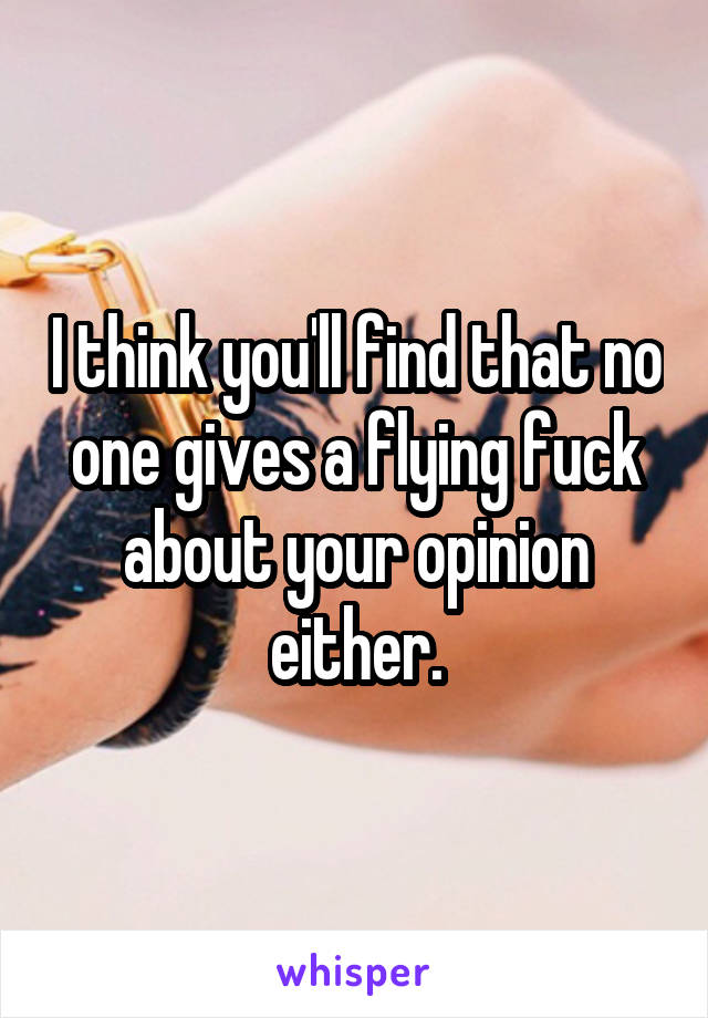 I think you'll find that no one gives a flying fuck about your opinion either.