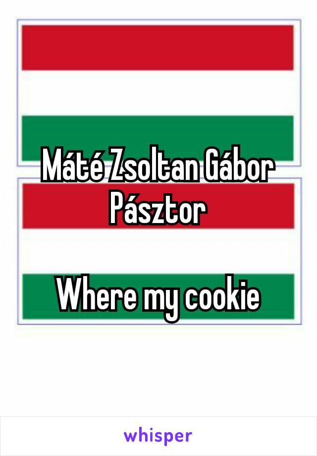 Máté Zsoltan Gábor Pásztor

Where my cookie
