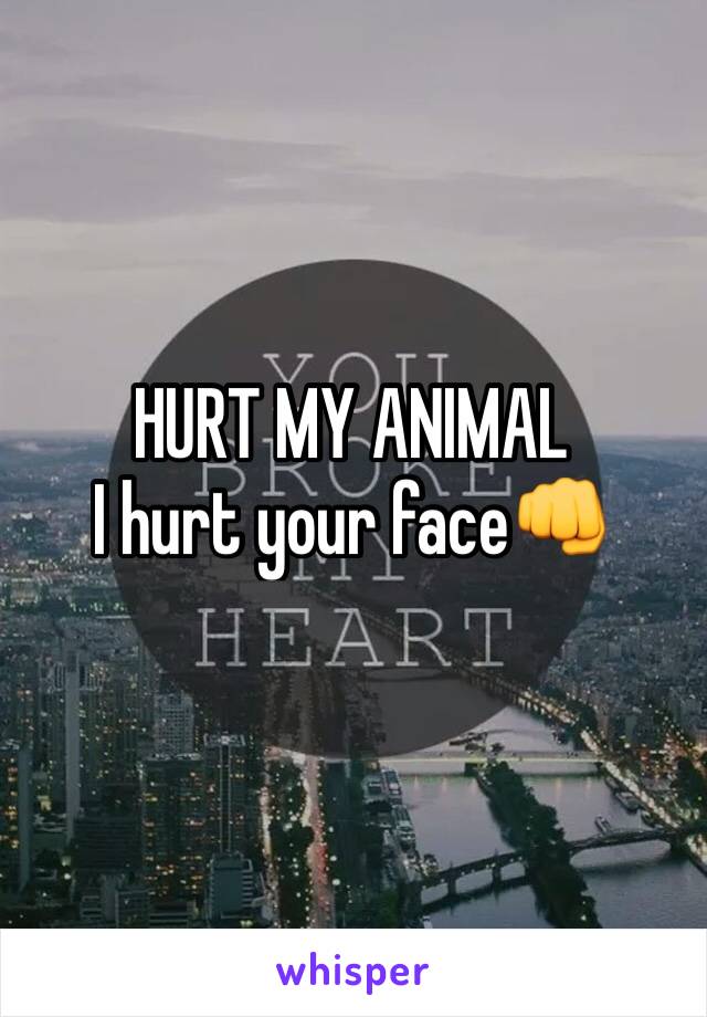 HURT MY ANIMAL  
I hurt your face👊