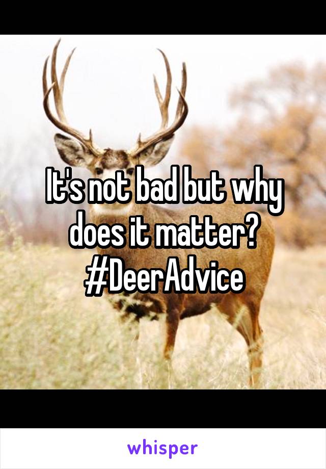 It's not bad but why does it matter? #DeerAdvice