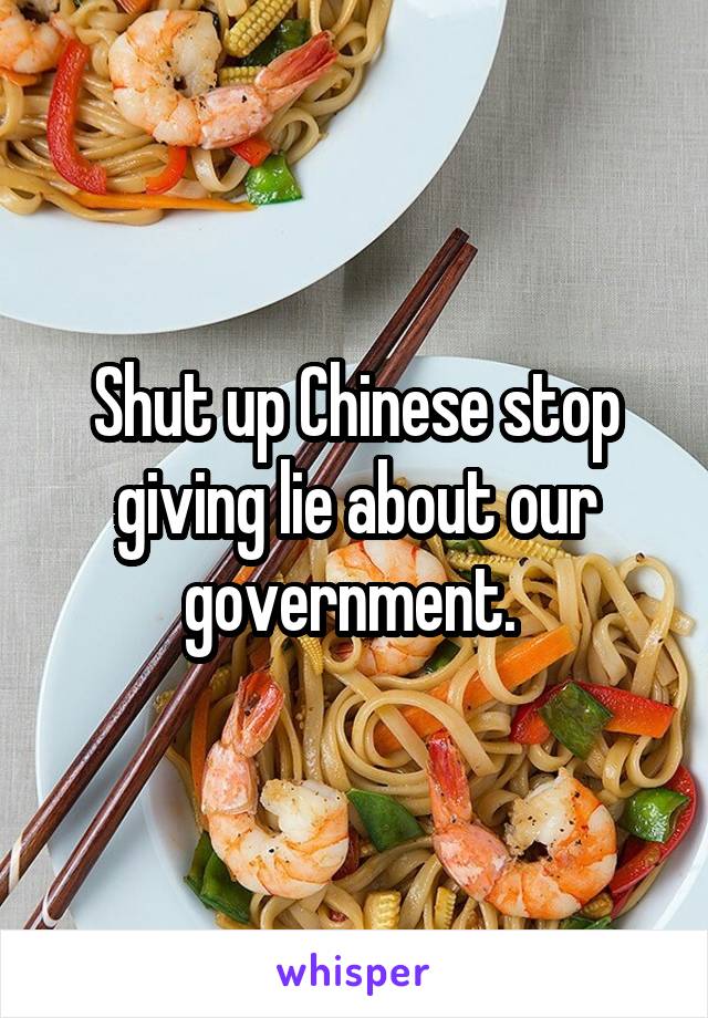 Shut up Chinese stop giving lie about our government. 