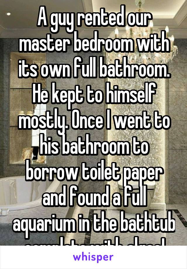 A guy rented our master bedroom with its own full bathroom. He kept to himself mostly. Once I went to his bathroom to borrow toilet paper and found a full aquarium in the bathtub complete with algae!