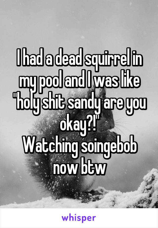 I had a dead squirrel in my pool and I was like "holy shit sandy are you okay?!"
Watching soingebob now btw