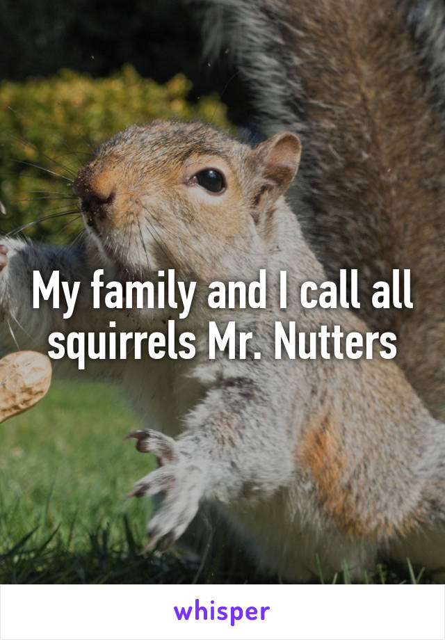 My family and I call all squirrels Mr. Nutters