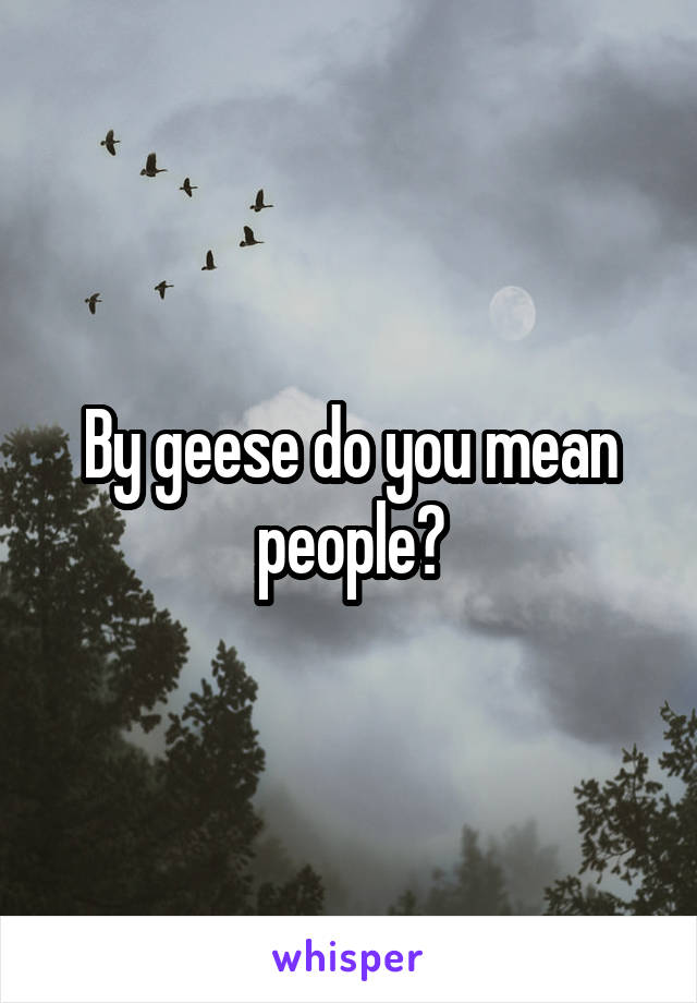 By geese do you mean people?