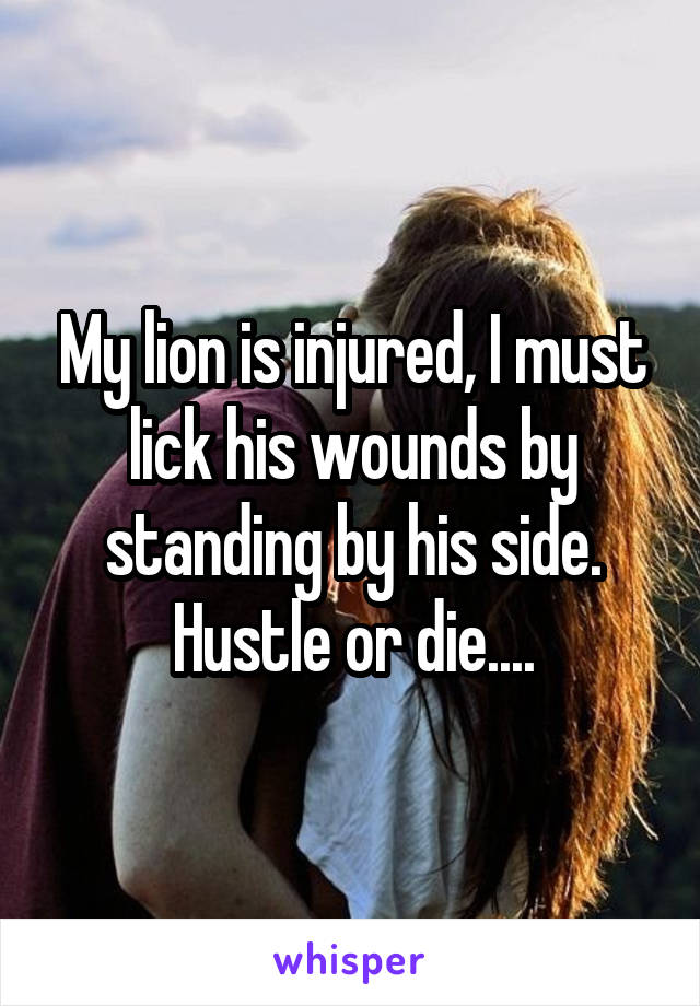 My lion is injured, I must lick his wounds by standing by his side. Hustle or die....