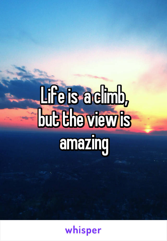 Life is  a climb,
but the view is amazing